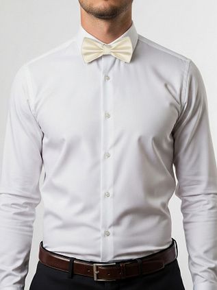 Suitable Satin Bow Tie Beige