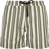 Anerkjendt Shorts de baño Verde 901490-4070
