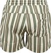 Anerkjendt Hai Badebukse Stripe Grønn Product / Achterkant
