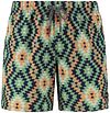 Shiwi Zwembroek Mayan Print Groen 1441110251-710 kopen | Suitable