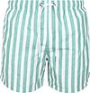 Suitable Swimshort Big Stripe Green order online | Suitable Hungary