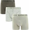 Björn Borg Boxershorts 3-pack Grön 10004233-MP003