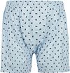 Boxer Steppin' Out con stampa leone azzurro chiaro Product / Achterkant