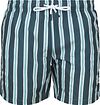 Passende Badebukse Stripe Grønn SW-STR-25-14 GREEN