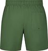 Lacoste Zwembroek Mid Groen Product / Achterkant