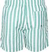 Suitable Swimshort Big Stripe Green