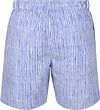 Napapijri Swimwear Elior Stripes Blue Product / Achterkant