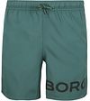 Bjorn Borg Zwembroek Logo Donkergroen 10004098-GN201 kopen | Suitable