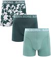 Bjorn Borg Boxer Verde 10005883-MP003