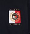 Tommy Hilfiger Sweater Zipper Big and Tall Bleu Foncé Product / Detail