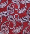 Suitable Pochet Paisley Rosso Product / Detail