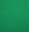 Camiseta Colorful Standard en verde Kelly Product / Detail
