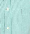 Steppin' Out Shirt Stripe Green Product / Detail