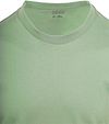 King Essentials The Steve T-shirt i bomuld – lysegrøn Product / Detail