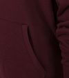 Lyle and Scott Hoodie Bordeaux Product / Detail