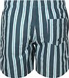 Passende Badebukse Stripe Grønn Product / Achterkant