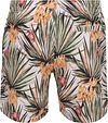 Shiwi Swimshorts Mike Green Banana Breeze Product / Achterkant