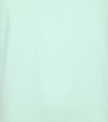 Suitable Respect T-Shirt Jim verde claro Product / Detail