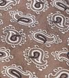 Suitable Tie Silk Paisley Camel Product / Detail