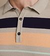 Vanguard Stickad Polo Beige Model / Detail