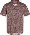 Anerkjendt Camisa Marrón 9012245566