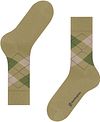 Burlington Wolle Edinburgh Grün 7206