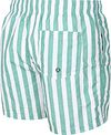 Suitable Badeshorts Big Stripe Grün