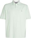 Tommy Hilfiger Big & Tall Polo Shirt Grøn MW0MW36066-LXY