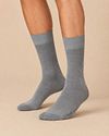Falke Happy Socks grå melange 2-pak Model / Voorkant