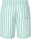 Suitable costume da bagno Big Stripe verde Product / Achterkant