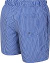 Suitable Bañador Pin Stripe azul marino Product