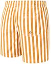 Suitable Bañador Big Stripe naranja Product / Achterkant