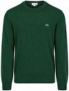 Lacoste Pullover Grün kaufen | AH0128-132 | Suitable