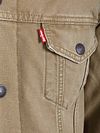 Levi's Sherpa Jas Camel