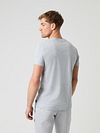 Bjorn Borg Basic T-shirt Grå Model / Achterkant