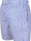 Napapijri Swimwear Elior Stripes Blue