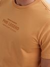 Camiseta PME Legend Logo Gold Earth Model / Detail