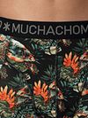 Muchachomalo Boxershorts 3-pakke Turtle Model / Detail