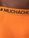 Muchachomalo Boxershorts 2er-Pack Dutch Lion Product / Detail