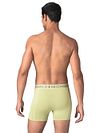 Muchachomalo costume da bagno Solid verde Model / Achterkant