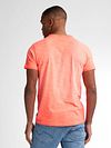 Petrol T-Shirt Stingray w kolorze Bright Coral Model / Achterkant