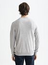 Scotch and Soda Core Pullover Gris Model / Achterkant