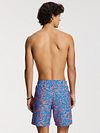 Shiwi Badshorts Mike Starfish Blå Model / Achterkant