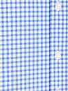 Steppin' Out Oxford Overhemd Ruit Blauw Product / Detail