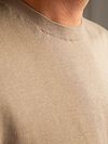 Suitable Strik-T-shirt Compact Camel Model / Detail