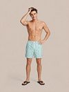 Suitable Swimshort Big Stripe Green