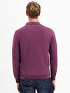 Sweter No Excess z kołnierzykiem polo w kolorze bordowym Model / Achterkant