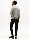 Tommy Hilfiger Jersey Essential Gris Model / Achterkant