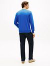 Tommy Hilfiger Sweater Essential Blau Model / Achterkant