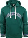 Champion Hoodie mit Logo Dunkelgrün kaufen | 219174-GS571 | Suitable